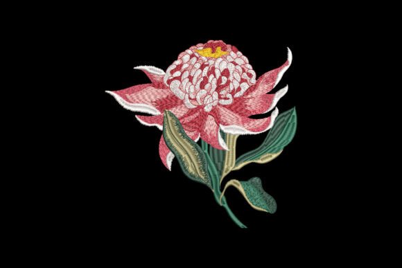 Blossom of Fire: A Designer’s Real-World Review