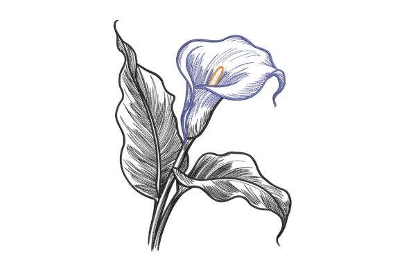 Calla Lily Sketch: Elegant Vintage Embroidery for Wedding & Lifestyle Products