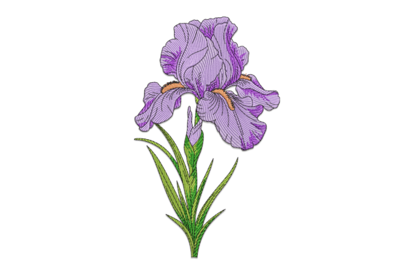 Purple Iris Embroidery Design Review